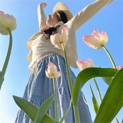 囧妈的极地任务
