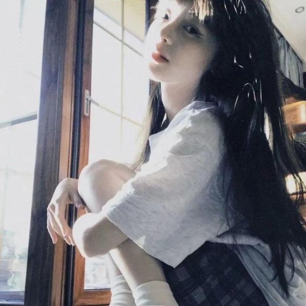 鲨与鲸